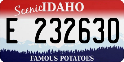 ID license plate E232630