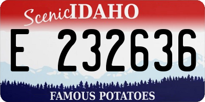 ID license plate E232636