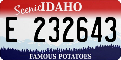 ID license plate E232643