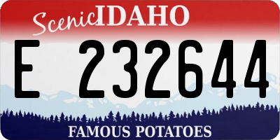 ID license plate E232644