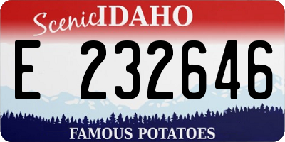 ID license plate E232646