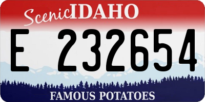ID license plate E232654