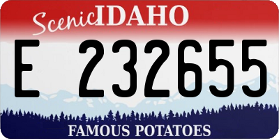 ID license plate E232655