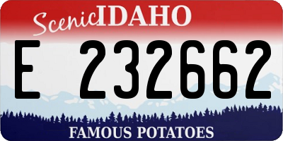 ID license plate E232662