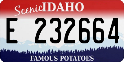 ID license plate E232664
