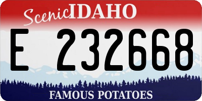 ID license plate E232668