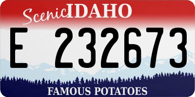 ID license plate E232673