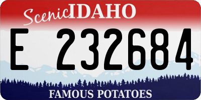 ID license plate E232684