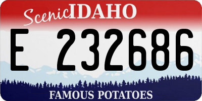ID license plate E232686