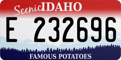 ID license plate E232696