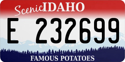 ID license plate E232699
