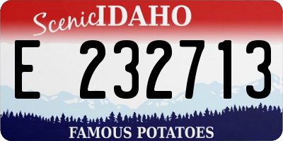 ID license plate E232713