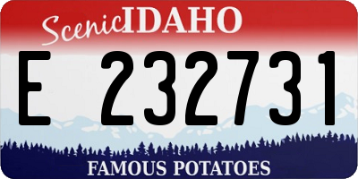 ID license plate E232731