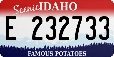 ID license plate E232733