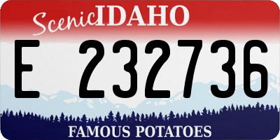ID license plate E232736