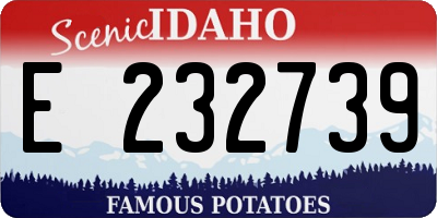 ID license plate E232739