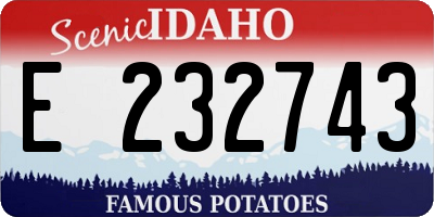 ID license plate E232743