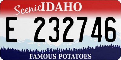 ID license plate E232746