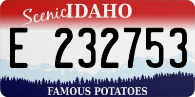 ID license plate E232753