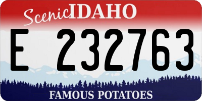ID license plate E232763