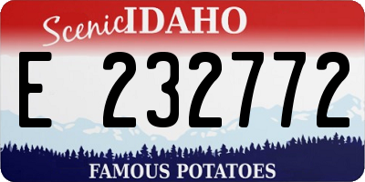 ID license plate E232772