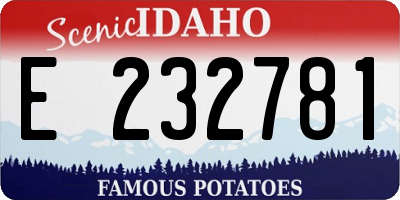 ID license plate E232781