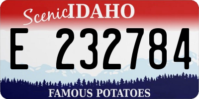ID license plate E232784