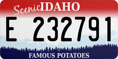 ID license plate E232791