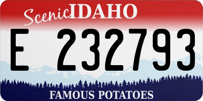 ID license plate E232793