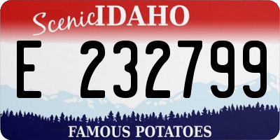 ID license plate E232799