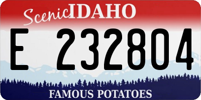ID license plate E232804
