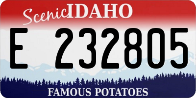 ID license plate E232805