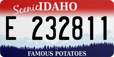ID license plate E232811