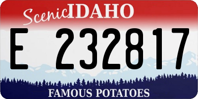 ID license plate E232817