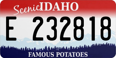 ID license plate E232818