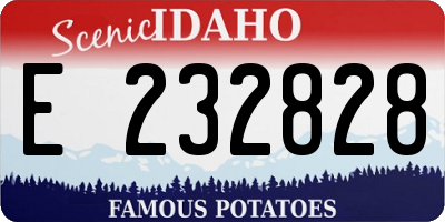ID license plate E232828