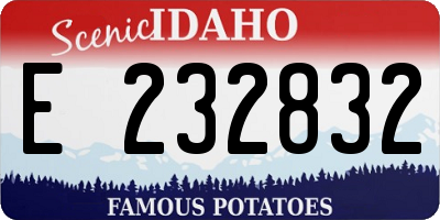 ID license plate E232832