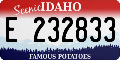 ID license plate E232833