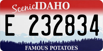ID license plate E232834