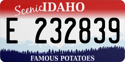 ID license plate E232839