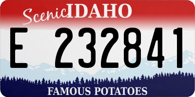 ID license plate E232841
