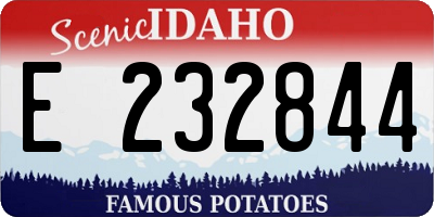 ID license plate E232844