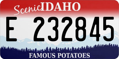 ID license plate E232845