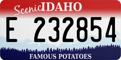 ID license plate E232854