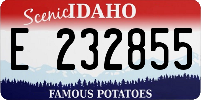 ID license plate E232855