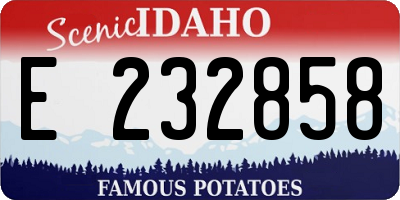 ID license plate E232858