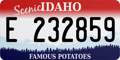 ID license plate E232859