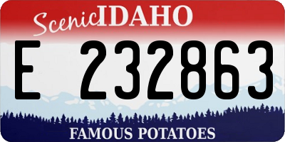 ID license plate E232863
