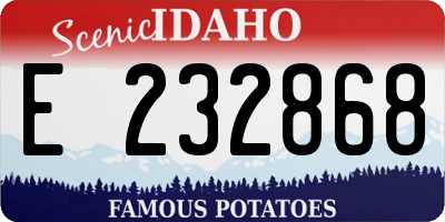 ID license plate E232868