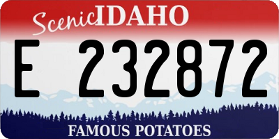 ID license plate E232872